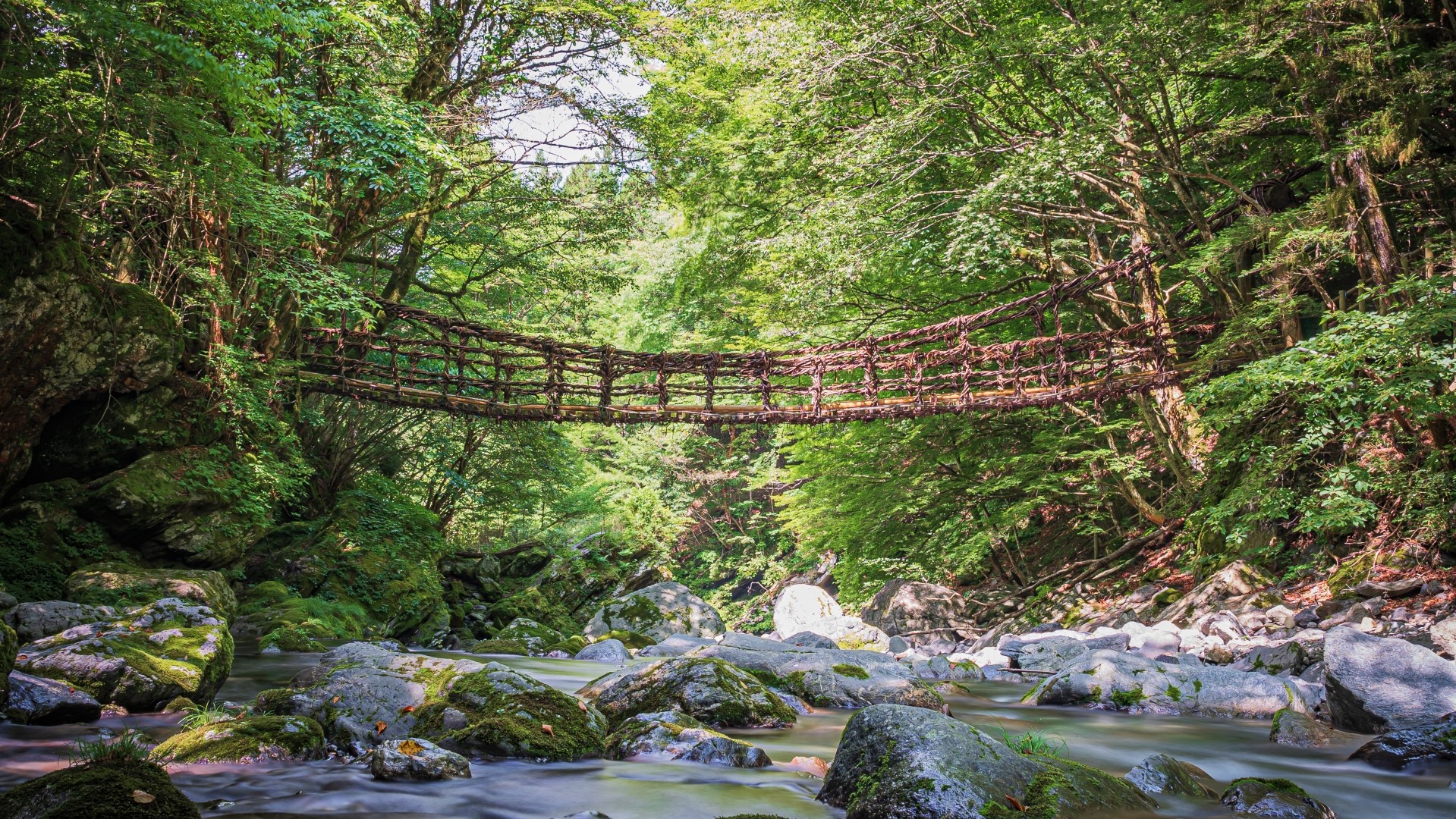 祖谷のかずら橋