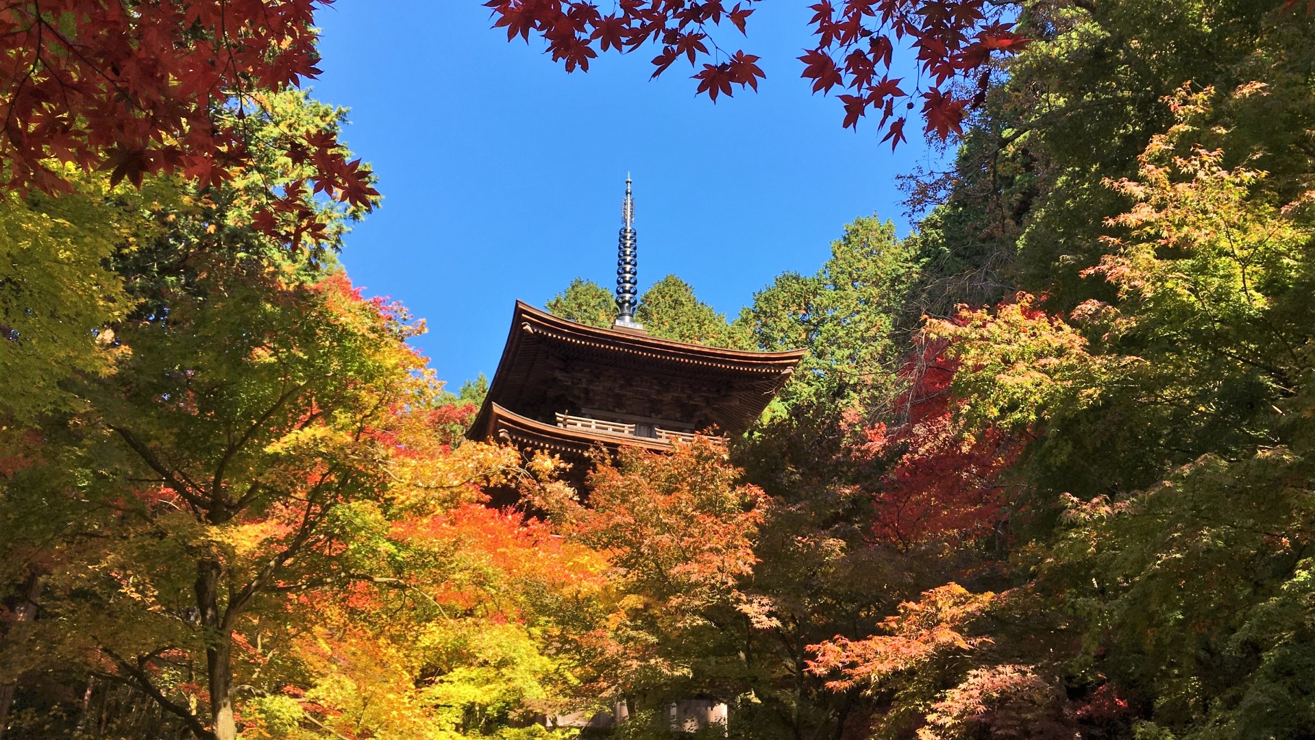 湖東三山 金剛輪寺