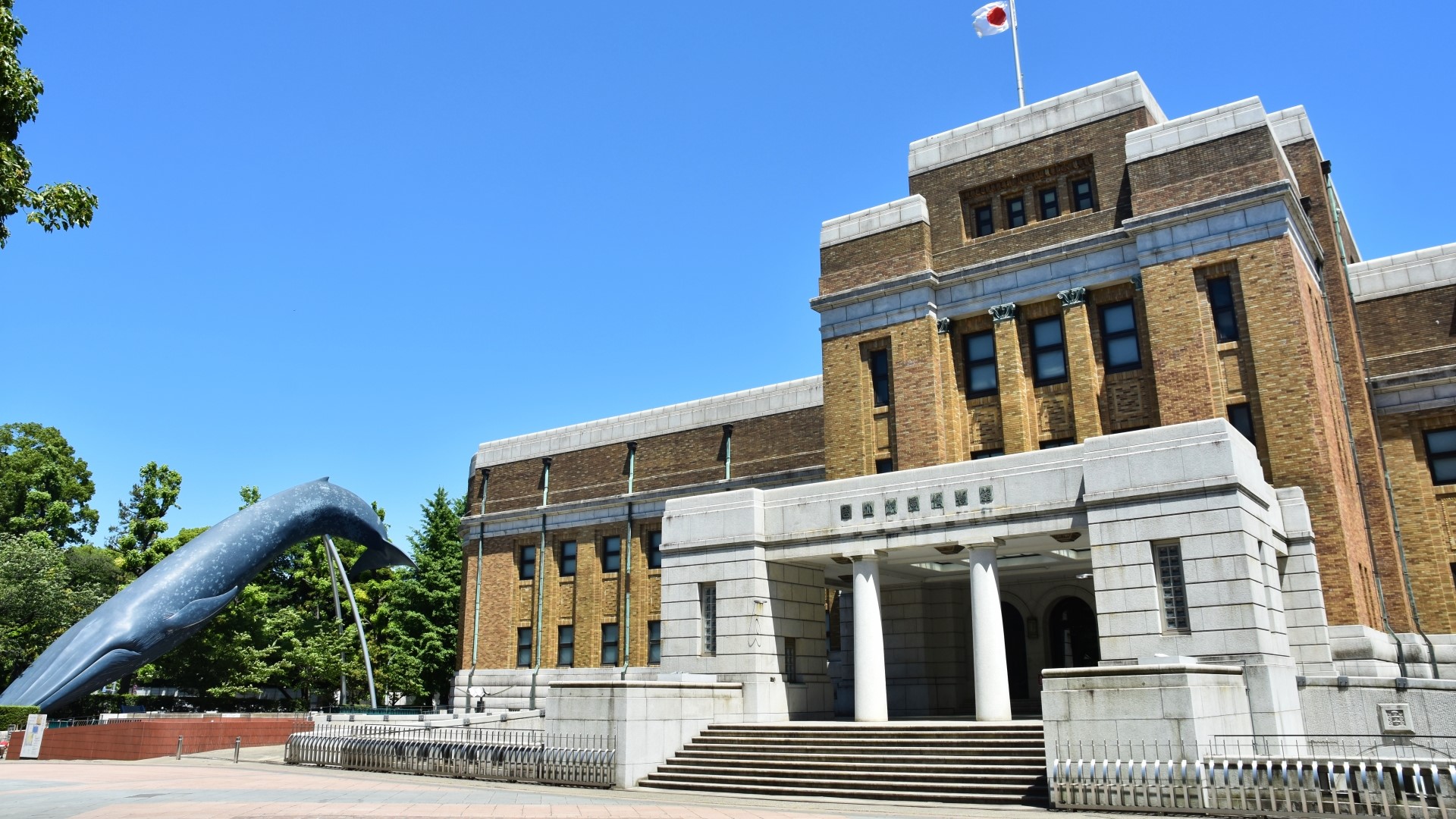 国立科学博物館