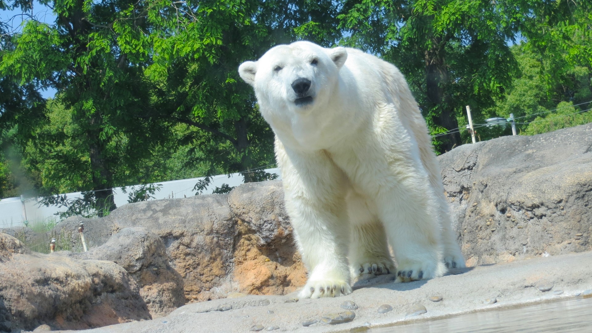 のんほいパーク（豊橋総合動植物公園）