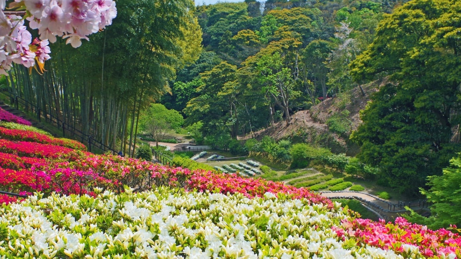 白野江植物公園